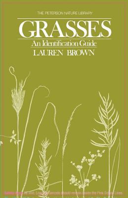 Brown Grasses Identification Guide 0395276241 Book Cover