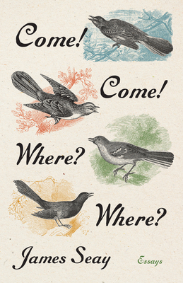 Come! Come! Where? Where?: Essays 1469678136 Book Cover