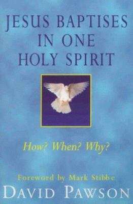 Jesus Baptises in One Holy Spirit: Who? How? Wh... 0340693983 Book Cover