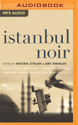 Istanbul Noir 1799785157 Book Cover