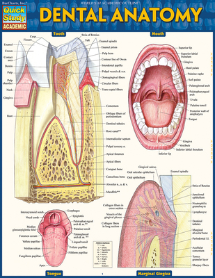 Dental Anatomy 1423233107 Book Cover