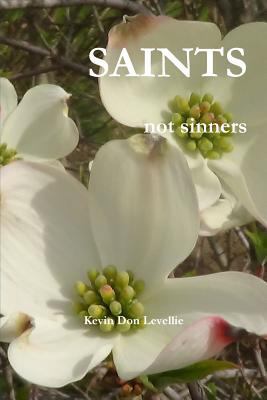 SAINTS not sinners 1329386841 Book Cover