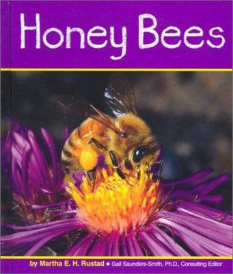 Honey Bees 0736816666 Book Cover