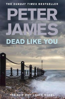 Dead Like You 0230711243 Book Cover