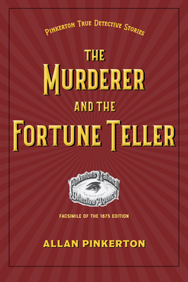 The Murderer and the Fortune Teller 1606354167 Book Cover
