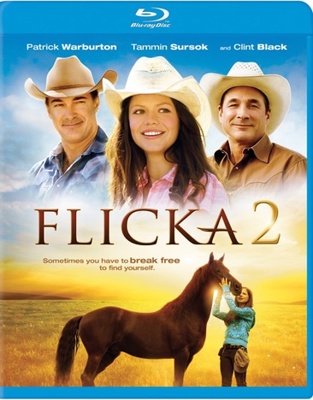Flicka 2            Book Cover