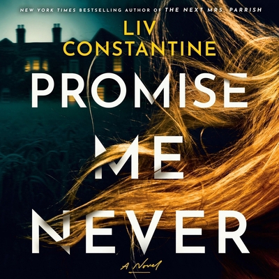 Promise Me Never B0H8HJG5JL Book Cover