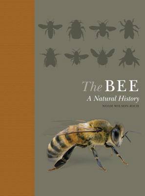 The Bee: A Natural History 0691161356 Book Cover