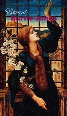 Burne-Jones 1859958648 Book Cover
