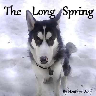 The Long Spring 149914640X Book Cover