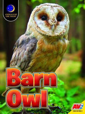 Barn Owl B0DGMC1Y91 Book Cover