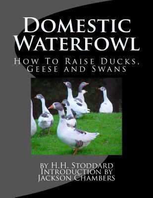 Domestic Waterfowl: How To Raise Ducks, Geese a... 1539621022 Book Cover