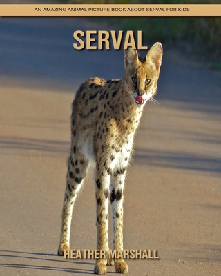 Paperback Serval : An Amazing Animal Picture Book about Serval for Kids [Large Print] Book