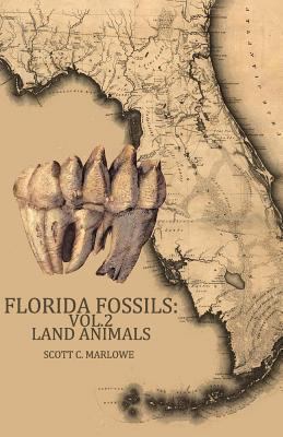 Florida Fossils: Land Animals 1494958996 Book Cover