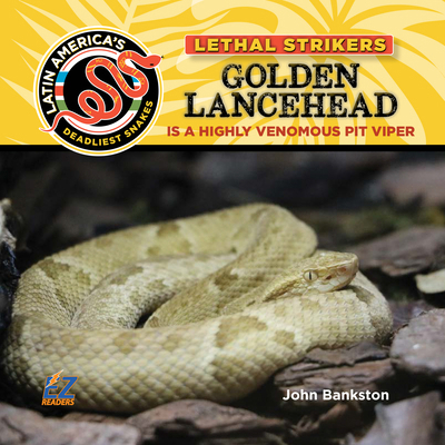 Golden Lancehead: Is a Highly Venomous Pit Viper 1680207881 Book Cover