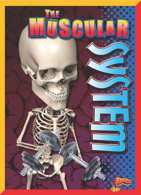 The Muscular System 1644662361 Book Cover