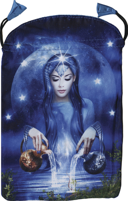 Arcanum Tarot Bag 0738759724 Book Cover