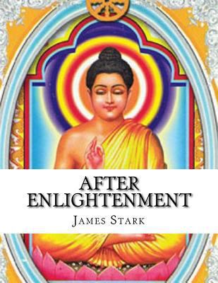 After Enlightenment 1987660617 Book Cover