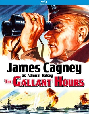 The Gallant Hours            Book Cover