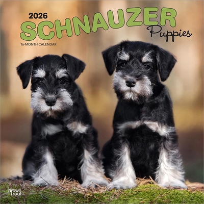 Schnauzer Puppies 2026 12 X 24 Inch (Hanging) M... B0DYLTJ63C Book Cover
