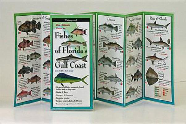 Fishes of the Florida's Gulf Coast 1893770141 Book Cover