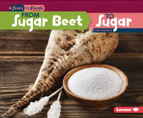 From Sugar Beet to Sugar 146776020X Book Cover