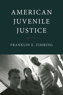 American Juvenile Justice 0195181174 Book Cover