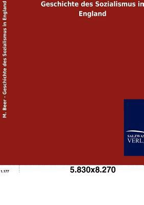 Geschichte des Sozialismus in England [German] 3846006270 Book Cover