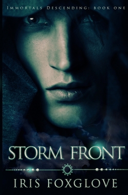 Storm Front: Immortals Descending Book One B0BHL5X9V5 Book Cover
