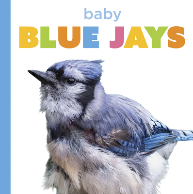 Baby Blue Jays B0H8ZSSLJH Book Cover
