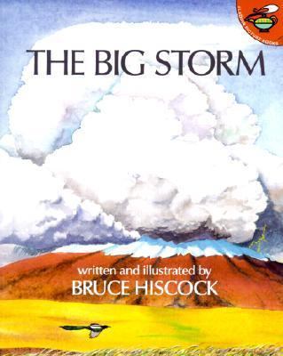 The Big Storm 0808580655 Book Cover