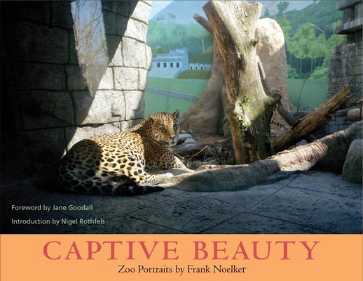 Captive Beauty: Zoo Portraits 0252071697 Book Cover