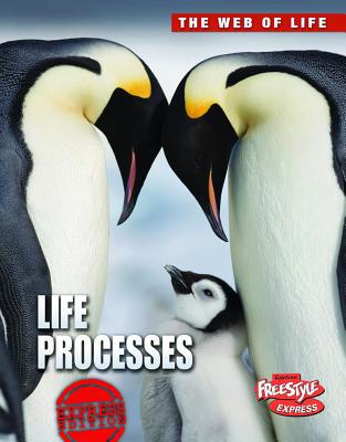 Life Processes 1410944239 Book Cover