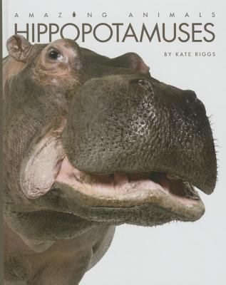 Hippopotamuses 1608186121 Book Cover