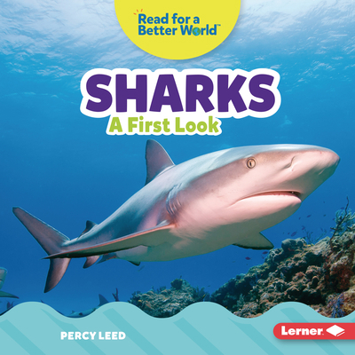 Sharks: A First Look 1728459141 Book Cover