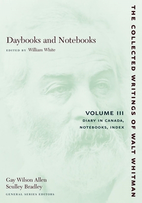 Daybooks and Notebooks: Volume III: Diary in Ca... 0814794335 Book Cover