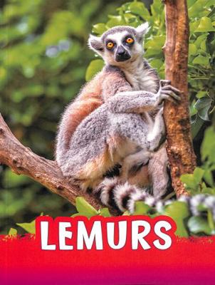 Lemurs (Animals) 1398202444 Book Cover
