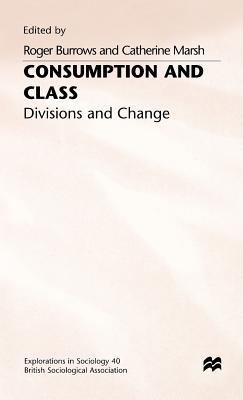 Consumption and Class: Divisions and Change 0333565363 Book Cover