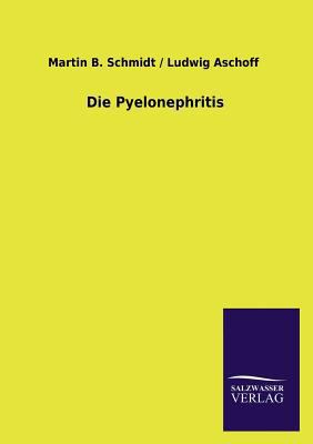 Die Pyelonephritis [German] 3846024678 Book Cover