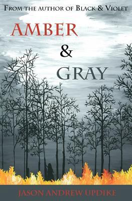 Amber & Gray 1479172006 Book Cover