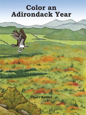 Paperback Color an Adirondack Year Book