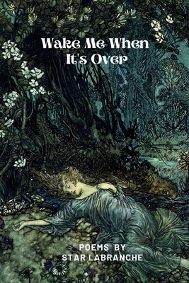 Wake Me When It's Over B08YQMC2KP Book Cover