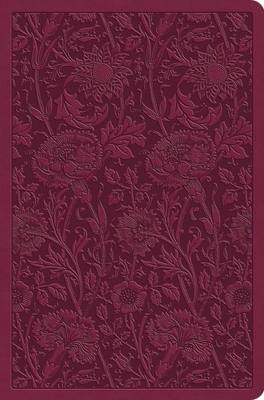 ESV Value Compact Bible (Trutone, Raspberry, Fl... B0DWNG9Q27 Book Cover