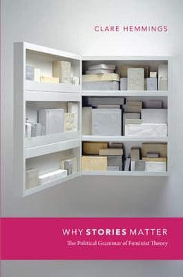 Why Stories Matter: The Political Grammar of Fe... 0822349167 Book Cover