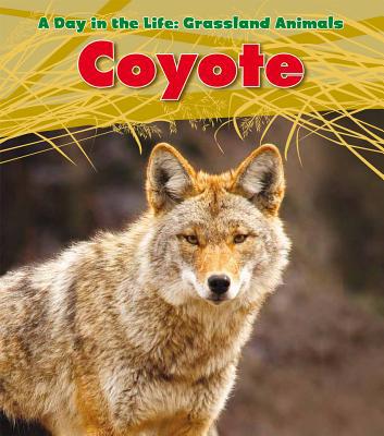 Coyote 143294729X Book Cover