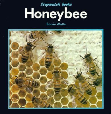 Honeybee (Stopwatch) 0382243439 Book Cover