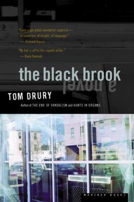 The Black Brook 0395957958 Book Cover