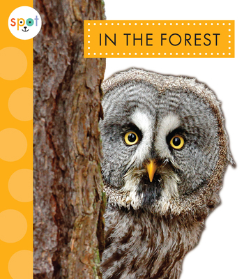 In the Forest 1645496449 Book Cover