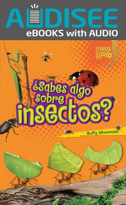 ¿Sabes Algo Sobre Insectos? (Do You Know about ... [Spanish] 0761393722 Book Cover