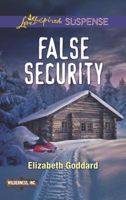 False Security 0373457006 Book Cover